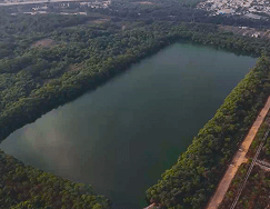 Environment
